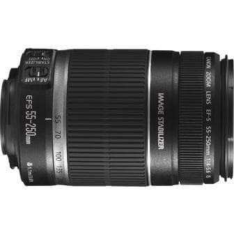Canon-objectieven Canon EF-S 55-250mm f/4-5.6 · hoofdafbeelding