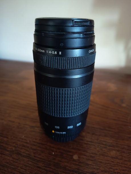 CanonEF 75-300mmfc4f11c8-0d34-4588-b887-ec611733f6c8