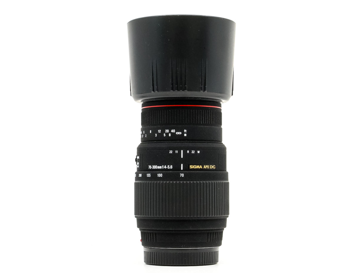 Sigma 70-300mm f/4-5.6 APO DG Macro - Sony A Fit