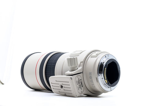 Canon EF 300mm f/4 L IS USM Lens