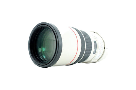 Canon EF 300mm f/4 L IS USM Lens