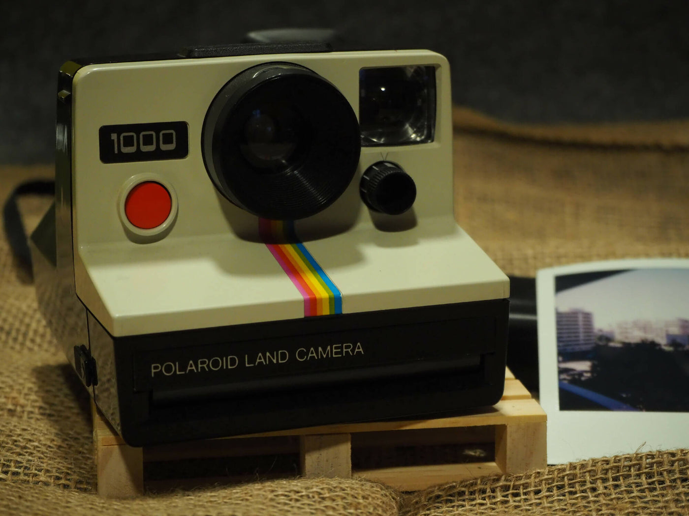 Polaroid Land Camera 1000 kopen | Camera Market · main image